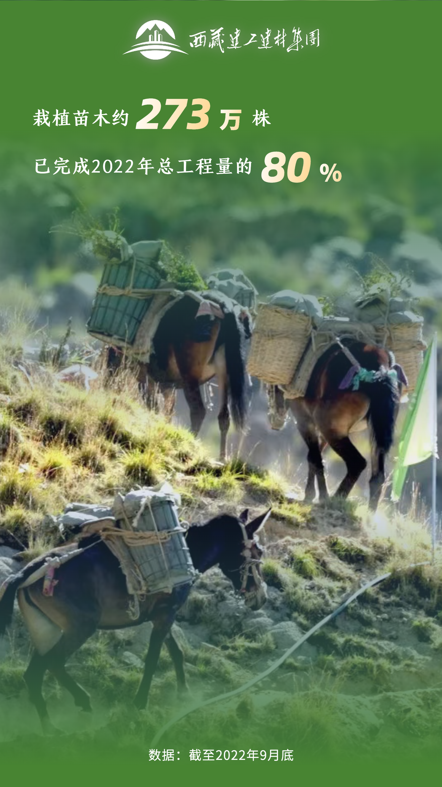 南宫NG28·(集团)相信品牌力量有限公司